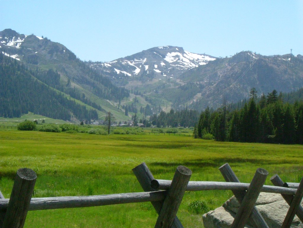 Meadow Squaw Valley.JPG